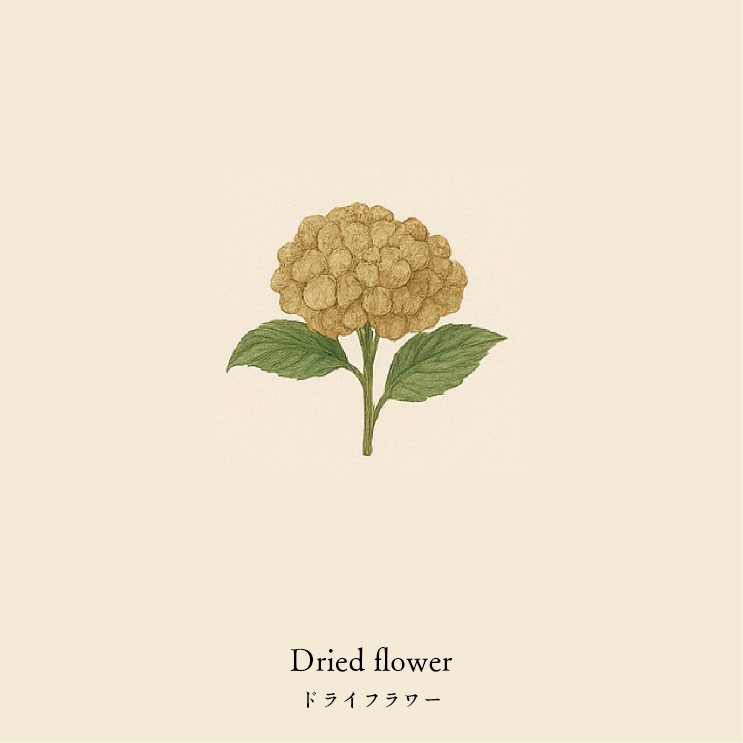 wool socks 2025 _ Dried flower ドライフラワー