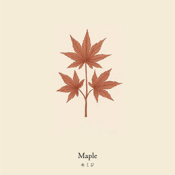 wool socks 2025 _ Maple モミジ