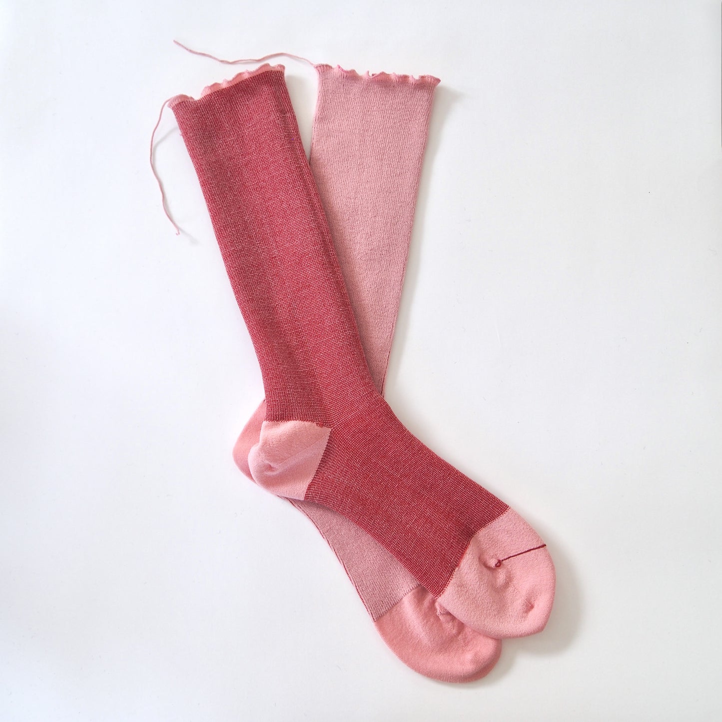 wool socks 2025 _ Cosmos コスモス