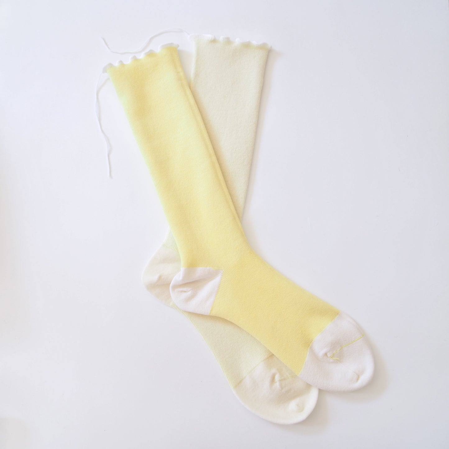 wool socks 2025 _ Daffodil スイセン
