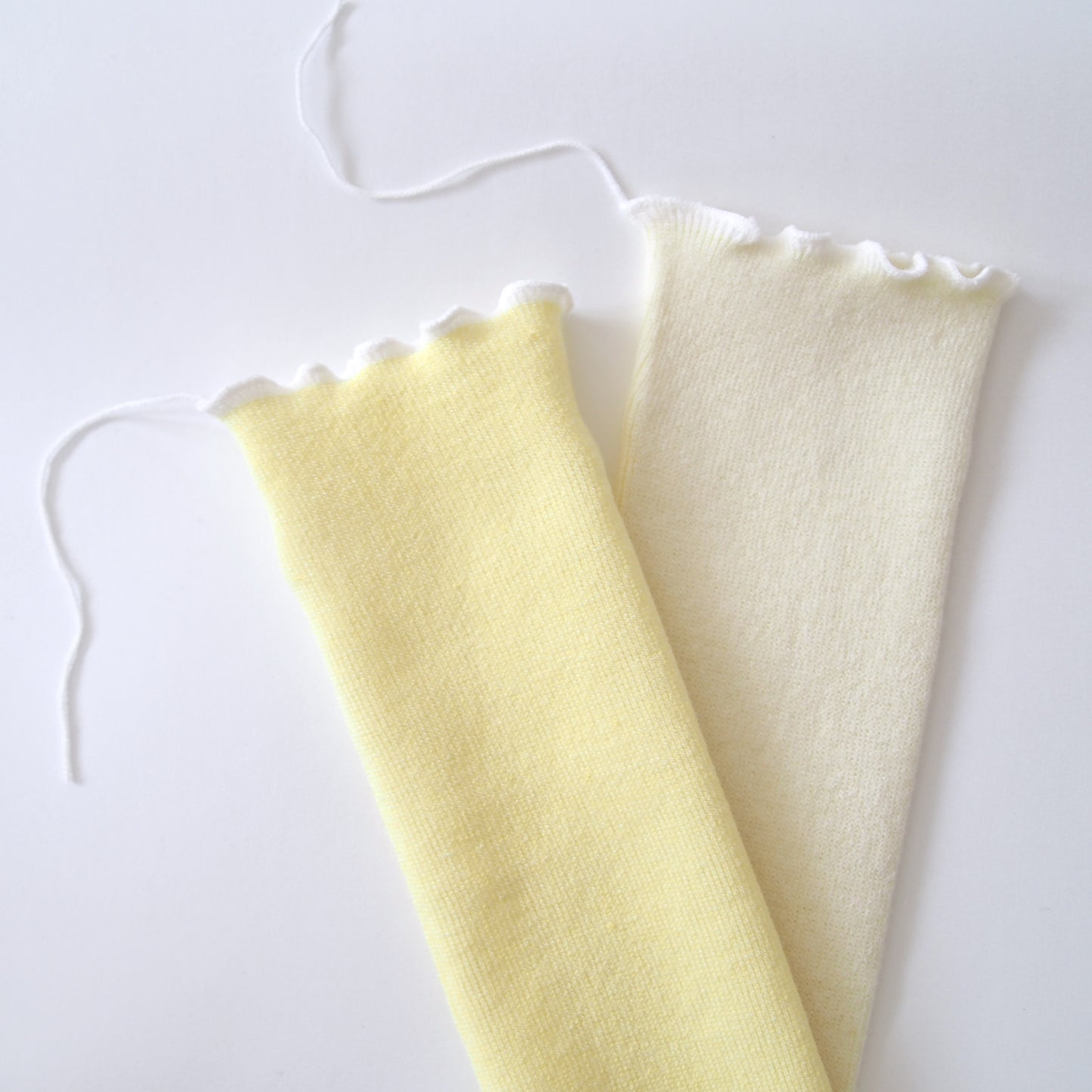 wool socks 2025 _ Daffodil スイセン