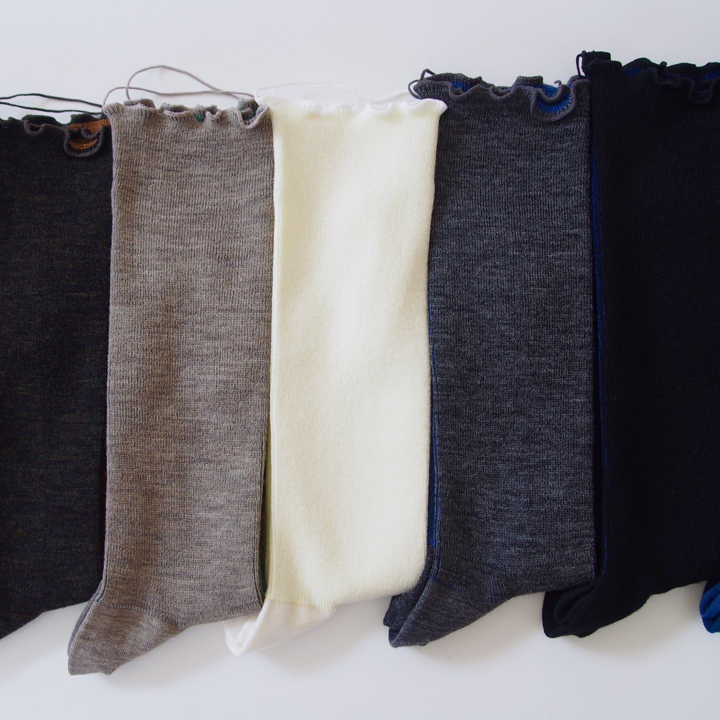wool socks 2025 _ Daffodil スイセン