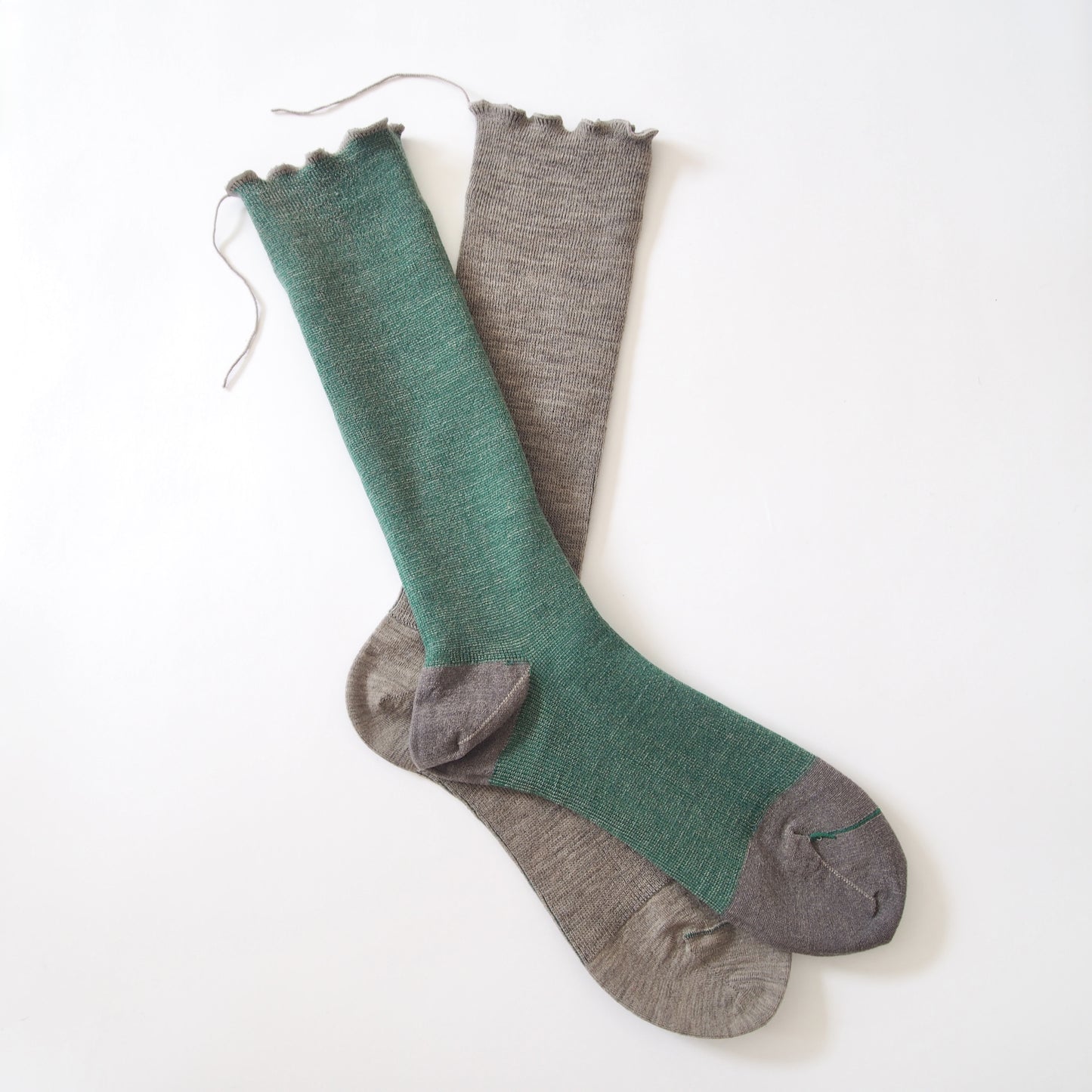 wool socks 2025 _ Fir tree モミノキ