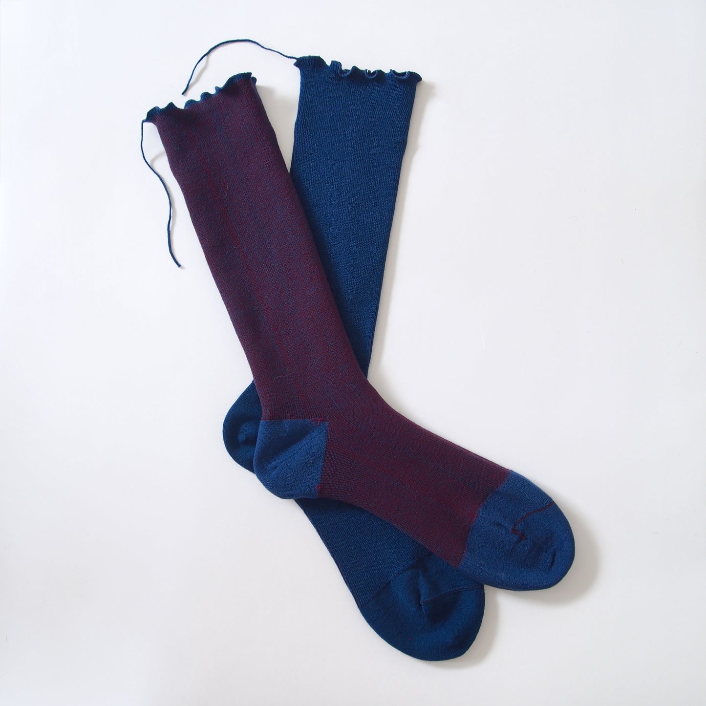 wool socks 2025 _ Gentian リンドウ