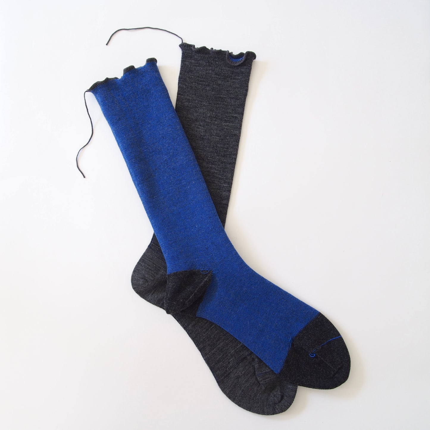 wool socks 2025 _ Morning glory アサガオ