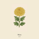 wool socks 2025 ＿ Mum