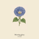 wool socks 2025 ＿ Morning glory