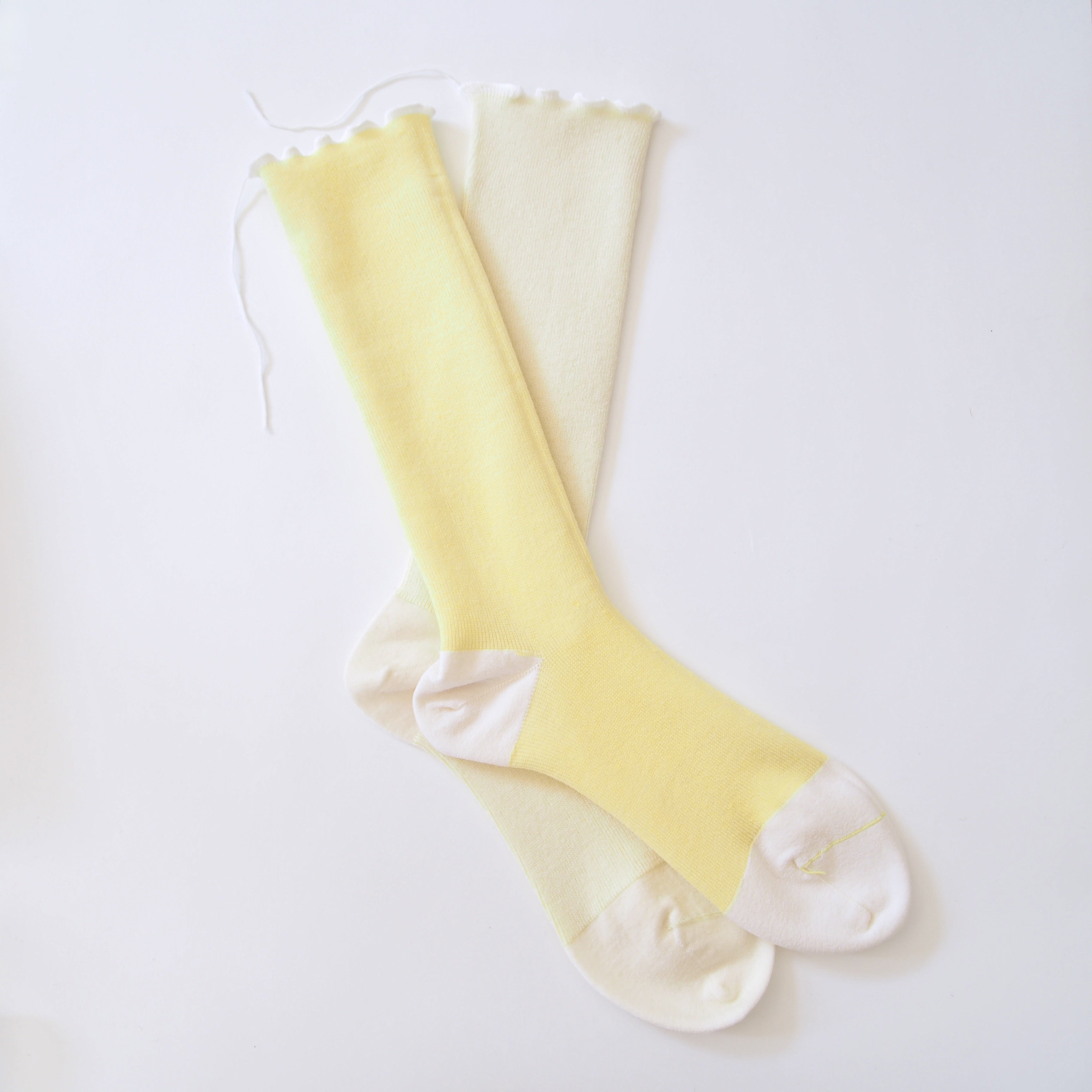 wool socks 2025 ＿ Daffodil