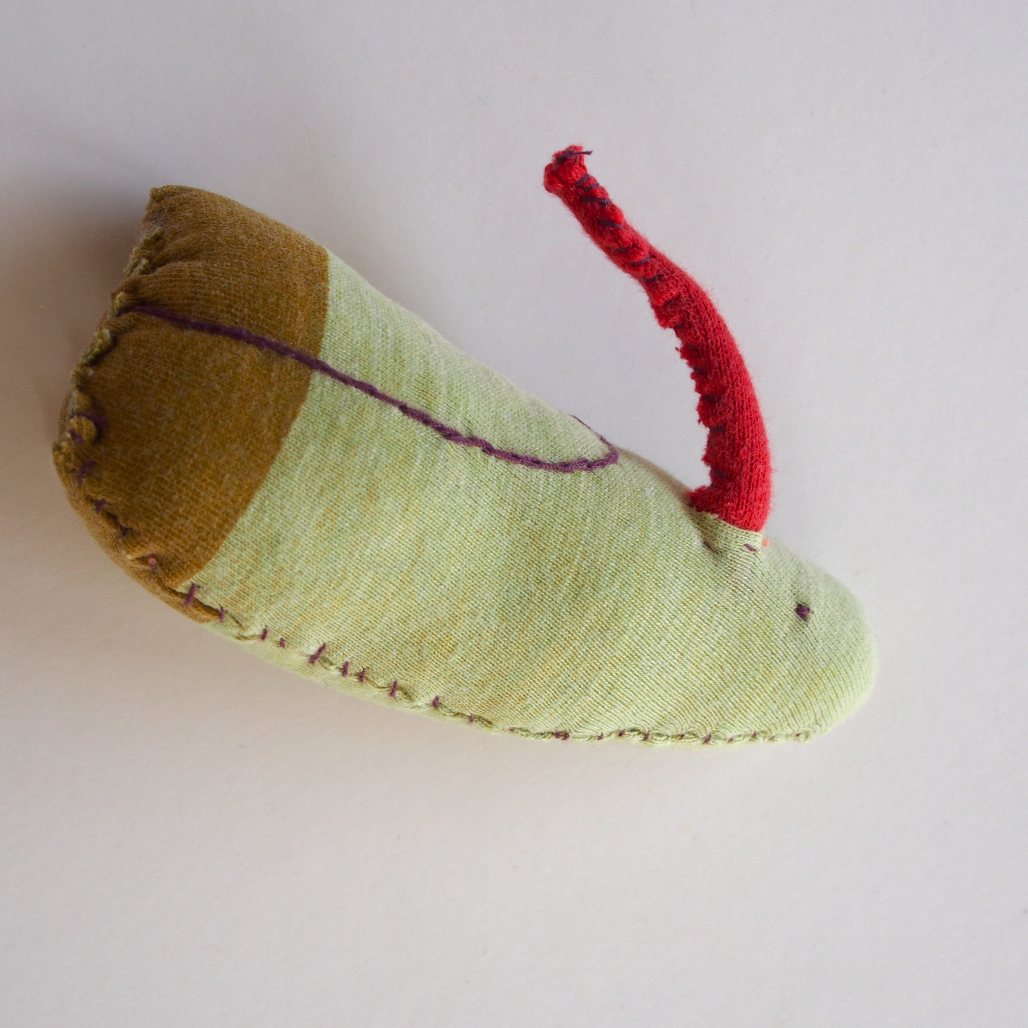 Yusuke Muneta　DOLL.