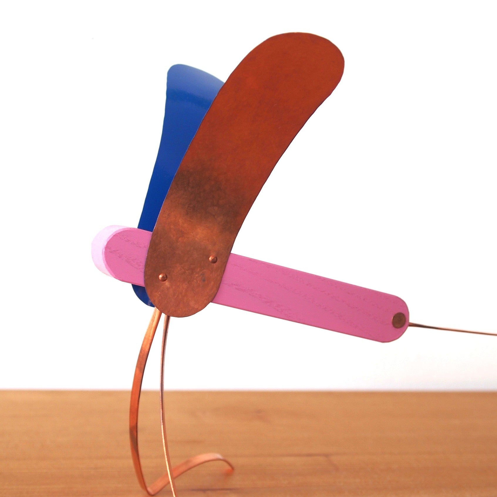 Kazunori Kochi　BIRD